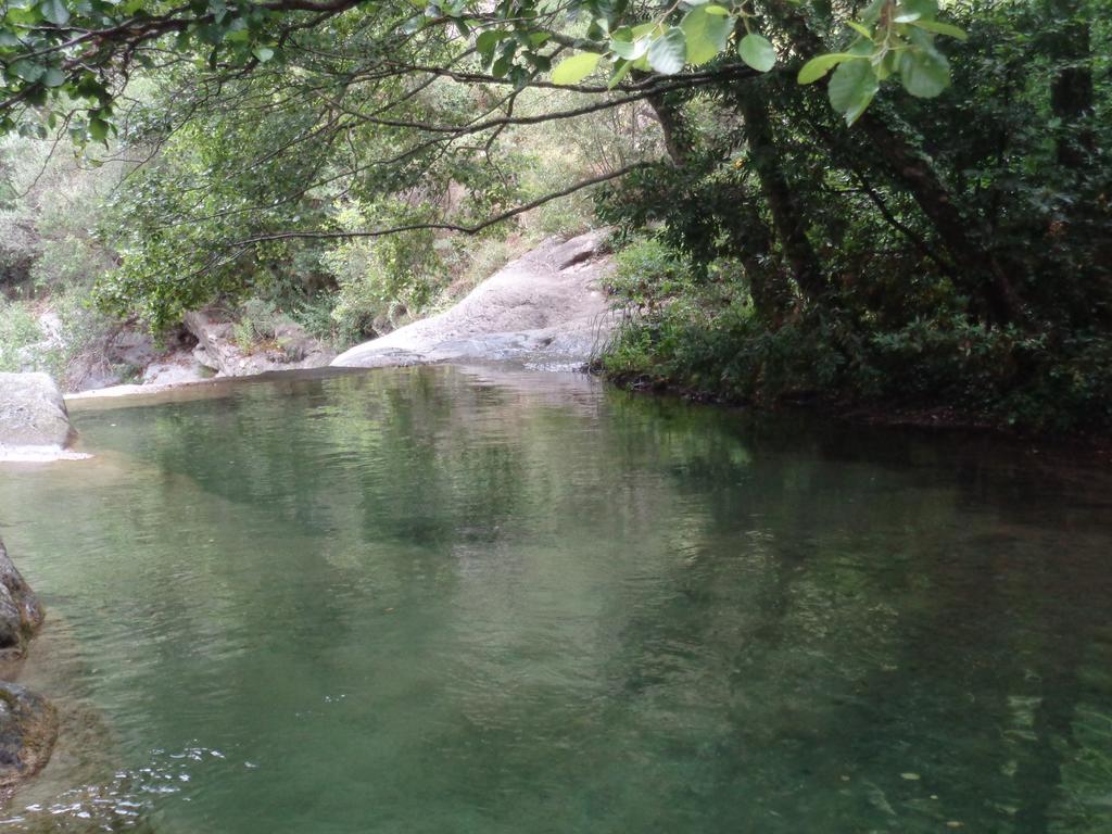 Appartamento Carrerapiana Pigna Rum bild