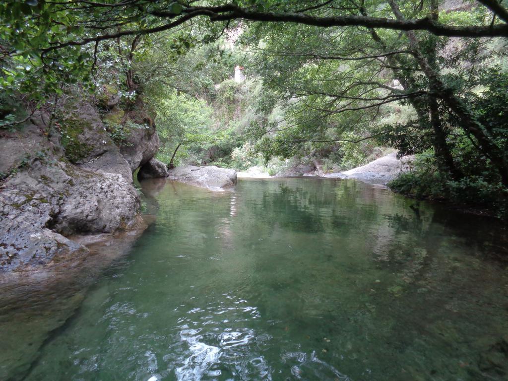 Appartamento Carrerapiana Pigna Rum bild